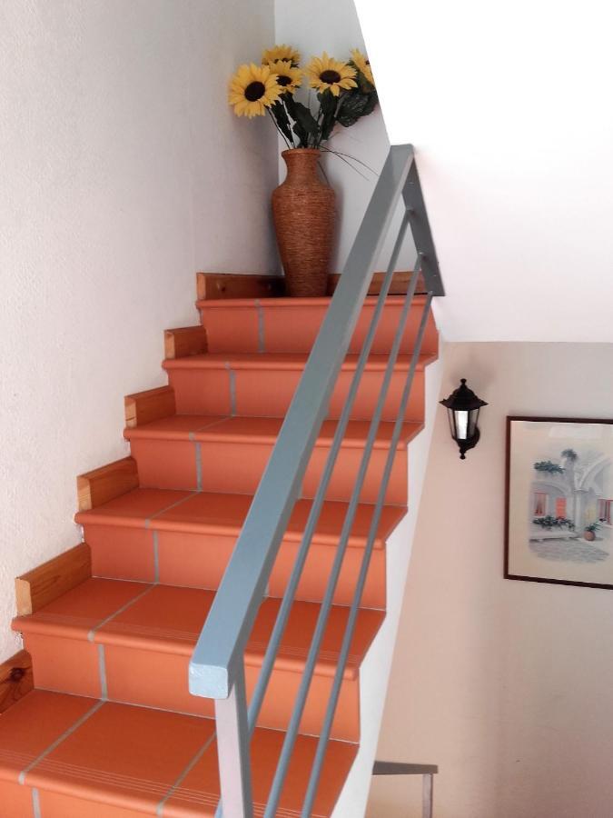 Chambres D'Hotes Mas La Tardosse Prats-de-Mollo-la-Preste Ngoại thất bức ảnh